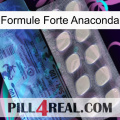 Anaconda Strong Formula 34